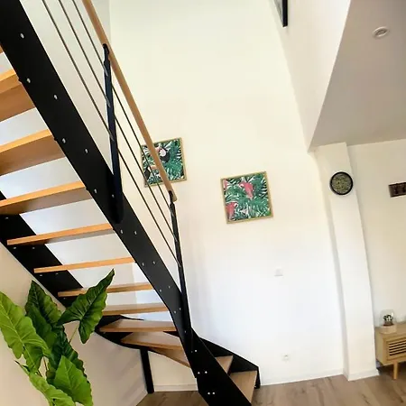 Apartment Les 2M - Duplex - Centre - Moderne - Rbnb Mulhouse